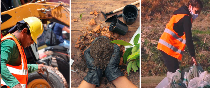 Programa de Oportunidad Laboral 