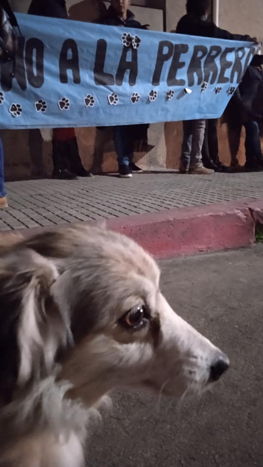 Manifestaron contra posible reinstalación de la perrera
