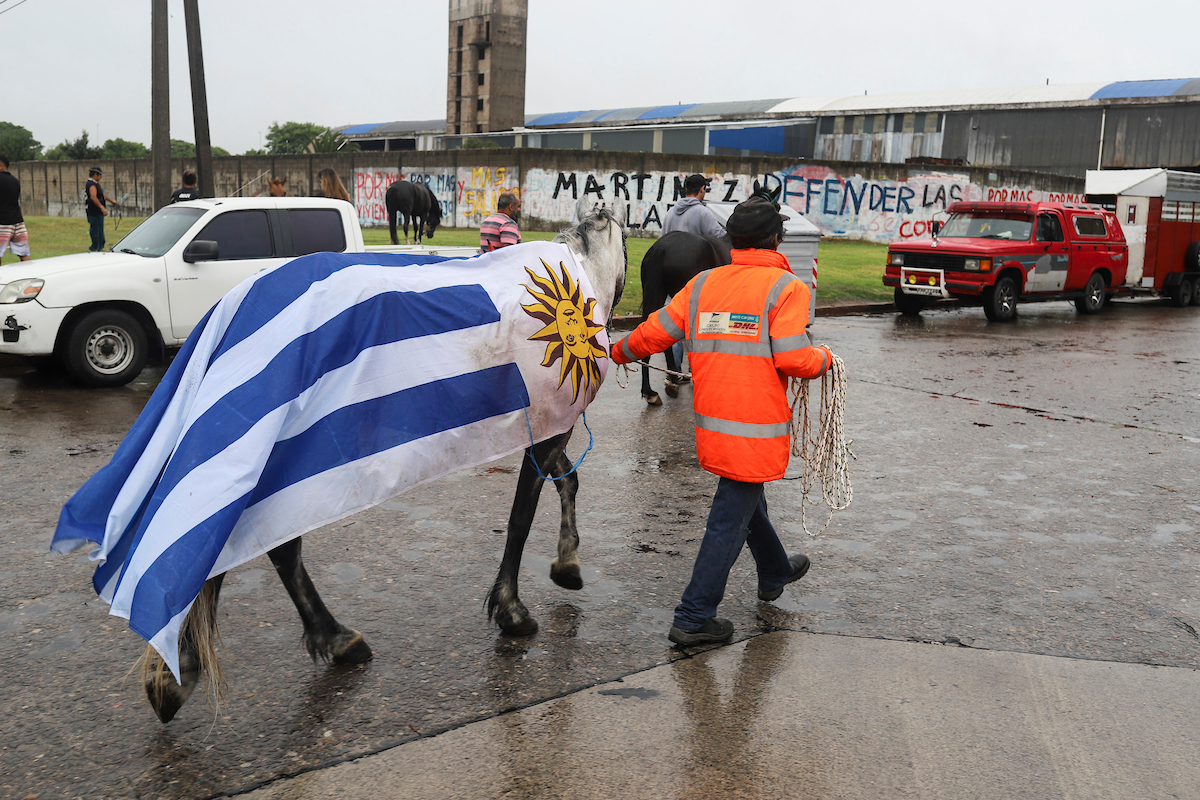 Caballo con bandera uruguaya