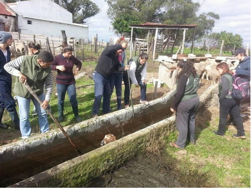 Foto: Semanario AREQUITA