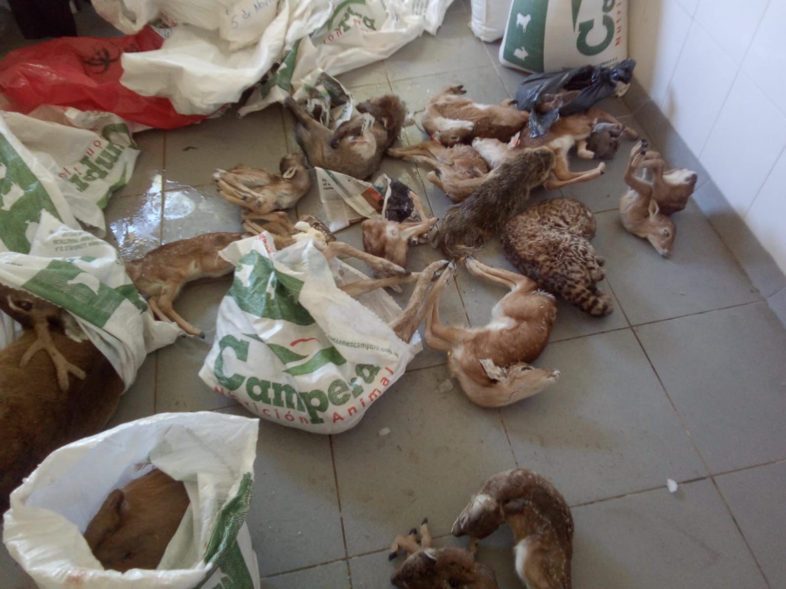 Dramáticas fotos de situación de algunas especies de la Reserva