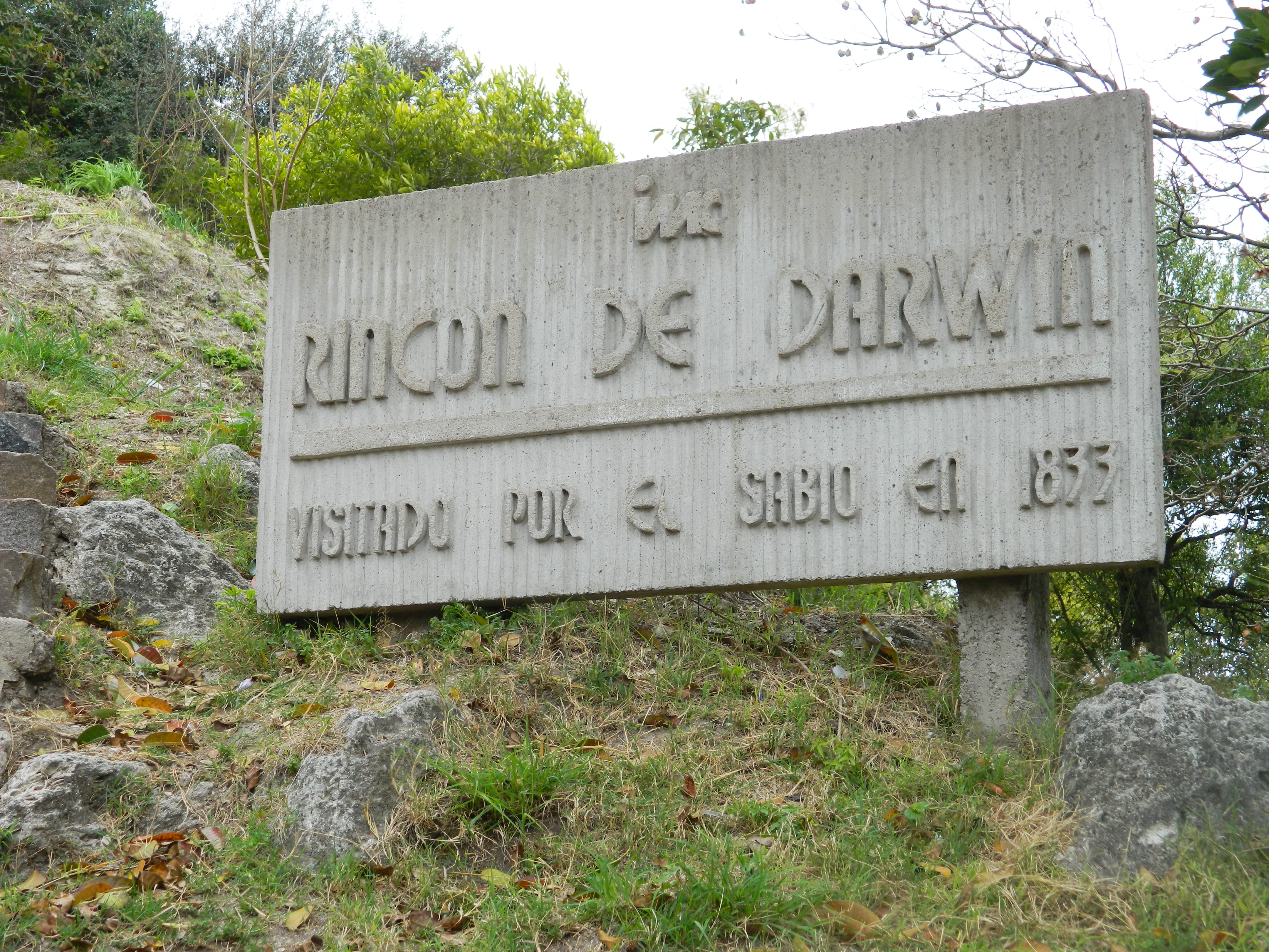 Rincón de Darwin
