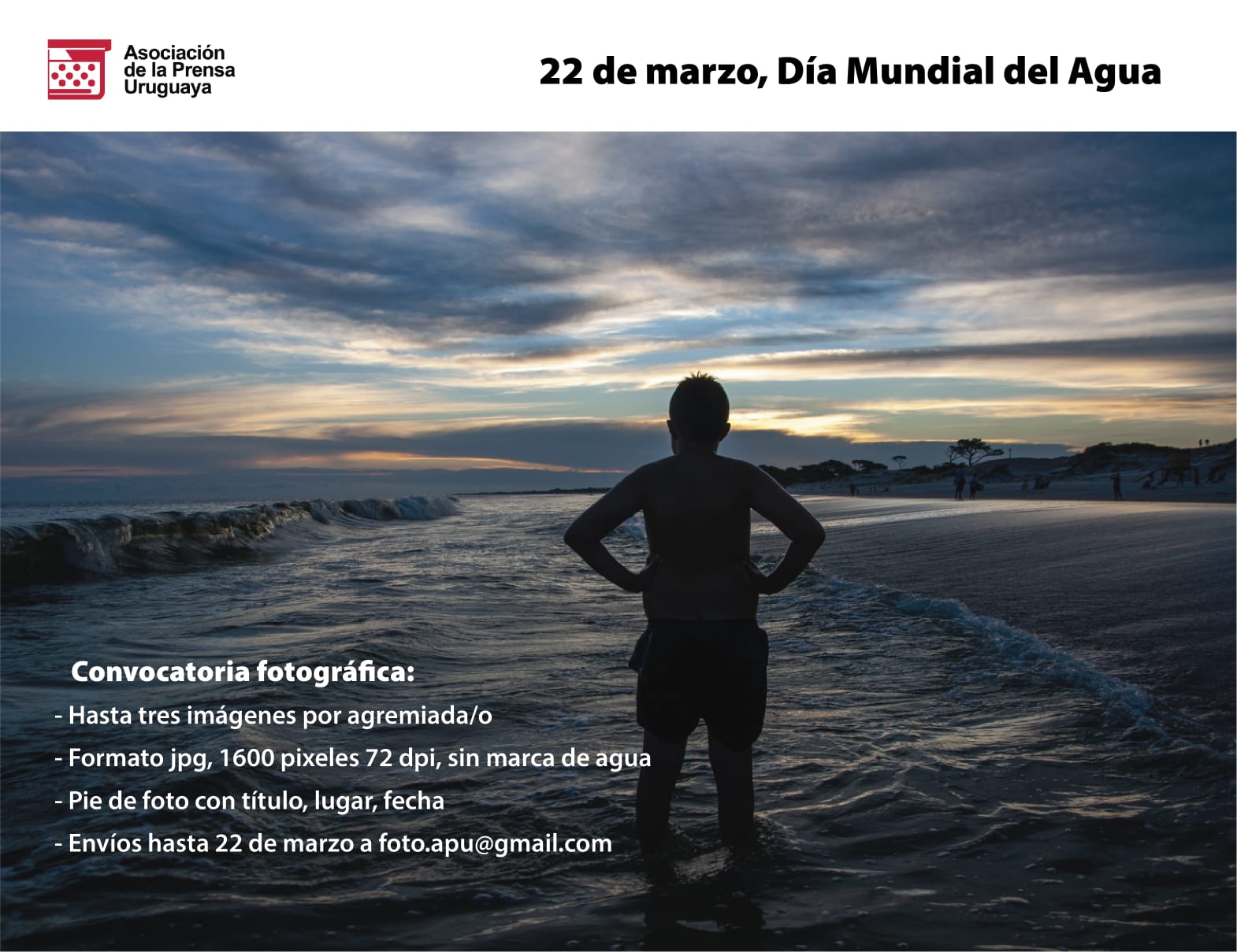 Convocatoria APU galería fotográfica