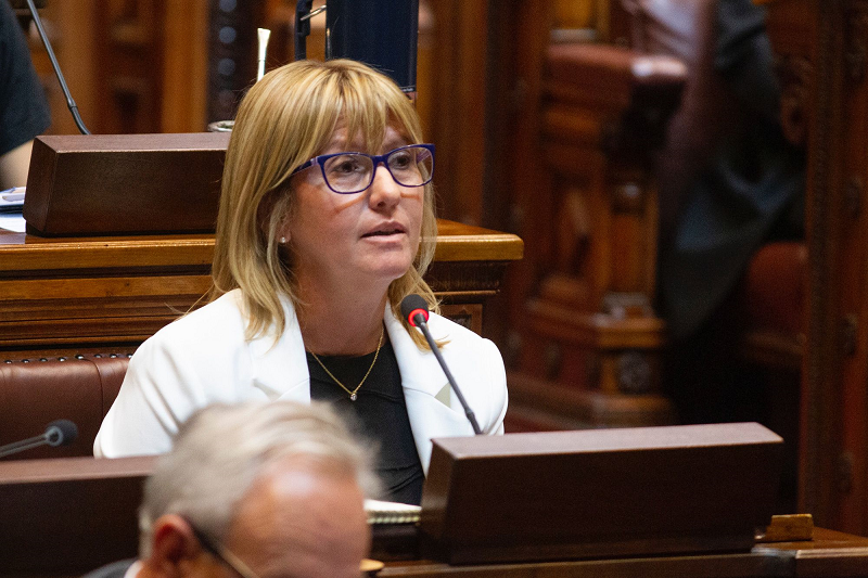 Diputada Lustemberg