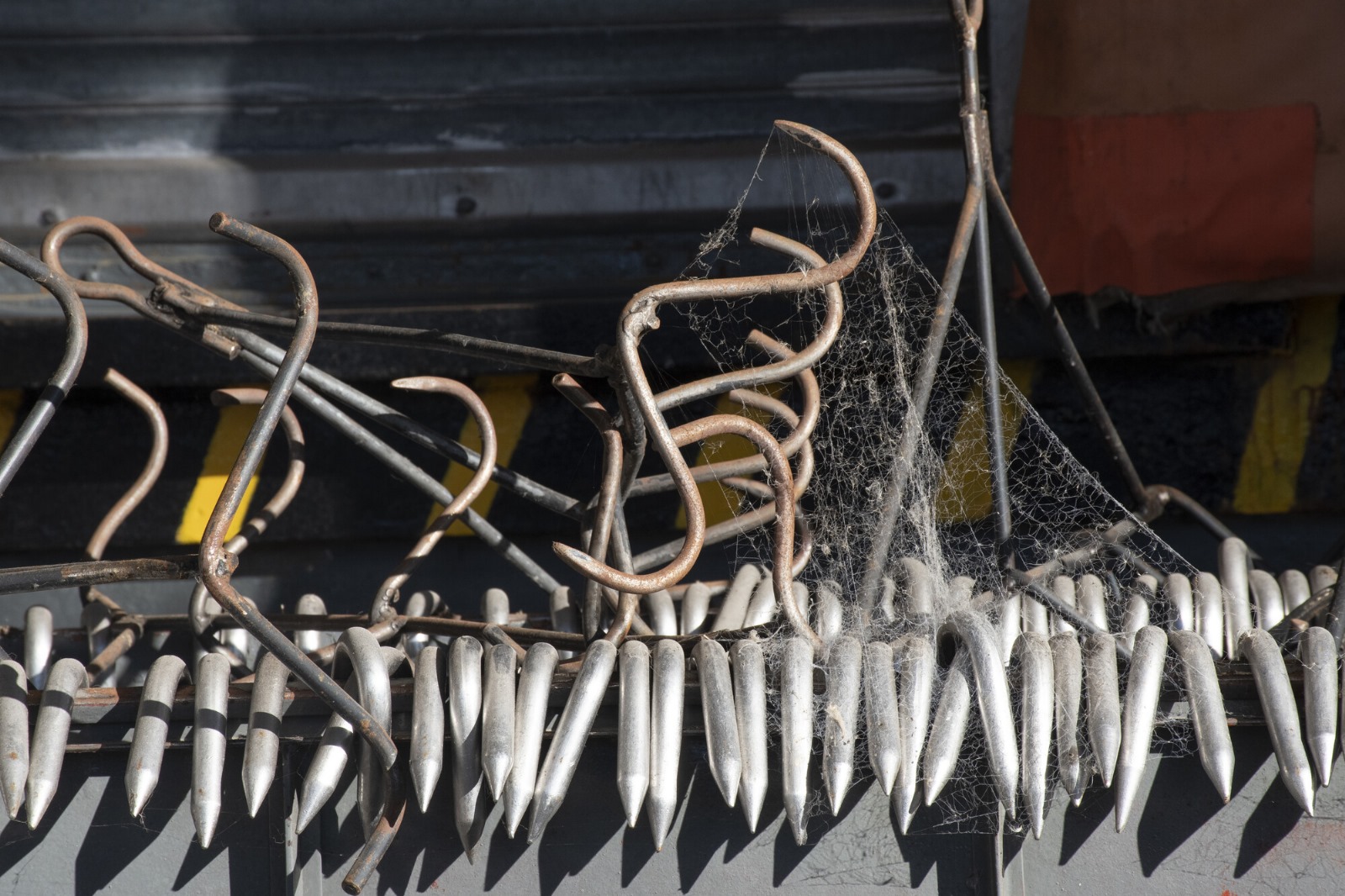 Fotos de Ignacio Dotti