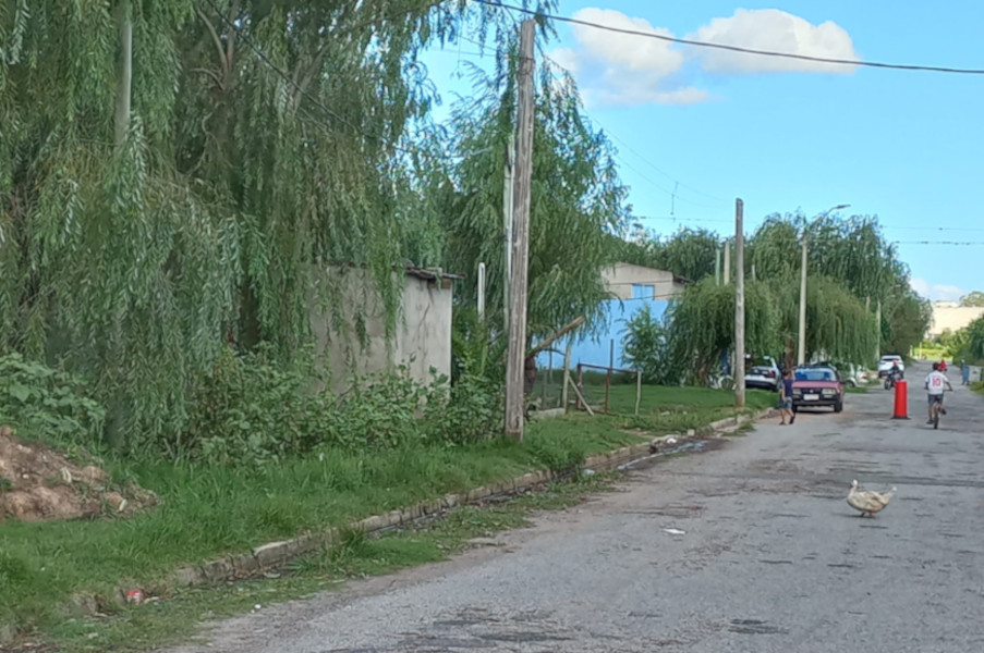 Barrio Asencio, Nueva Palmira, departamento de Colonia