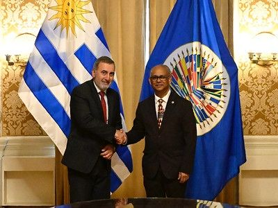 lanza en la oea