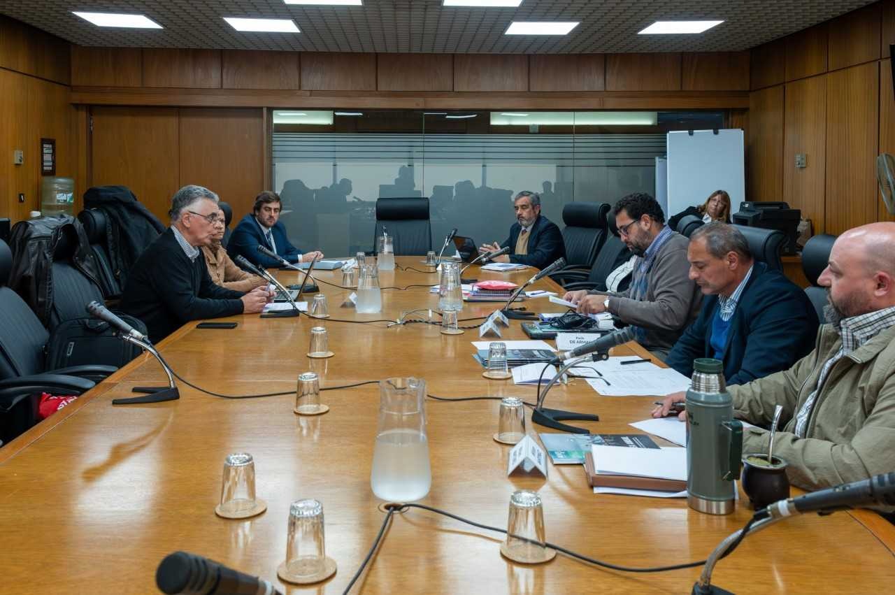 reunión MOVUS