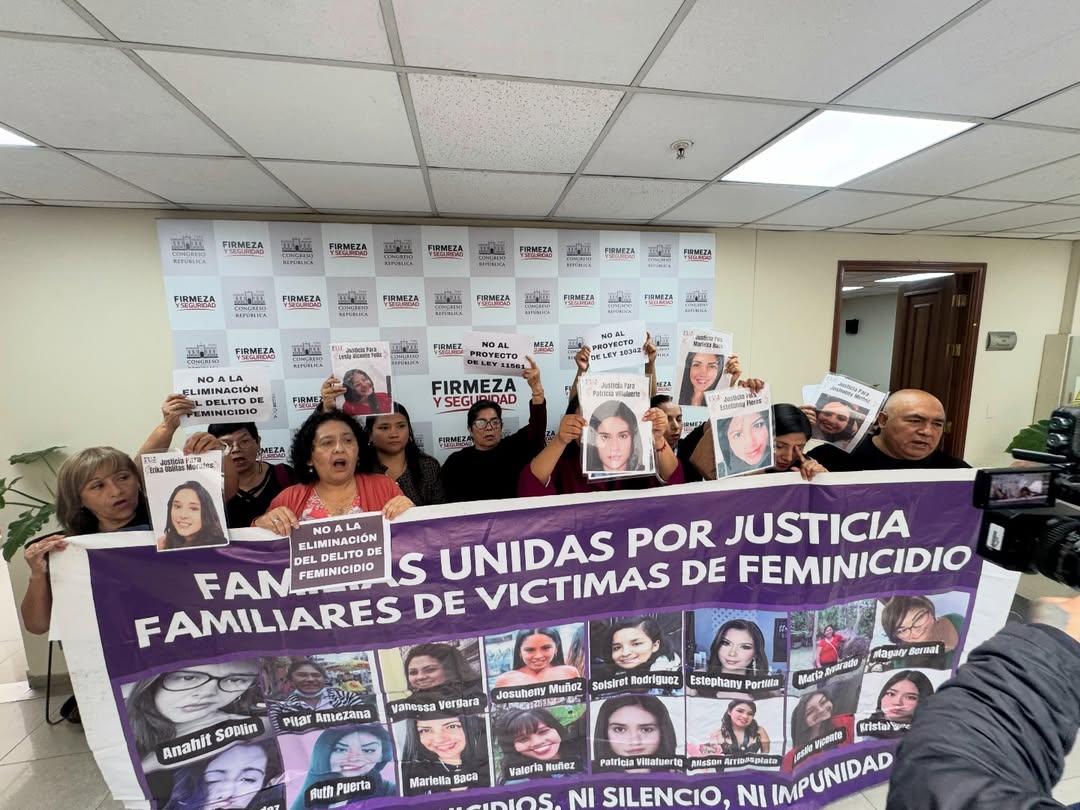Comité de Expertas de la OEA rechaza proyecto que busca eliminar la figura del feminicidio en Perú