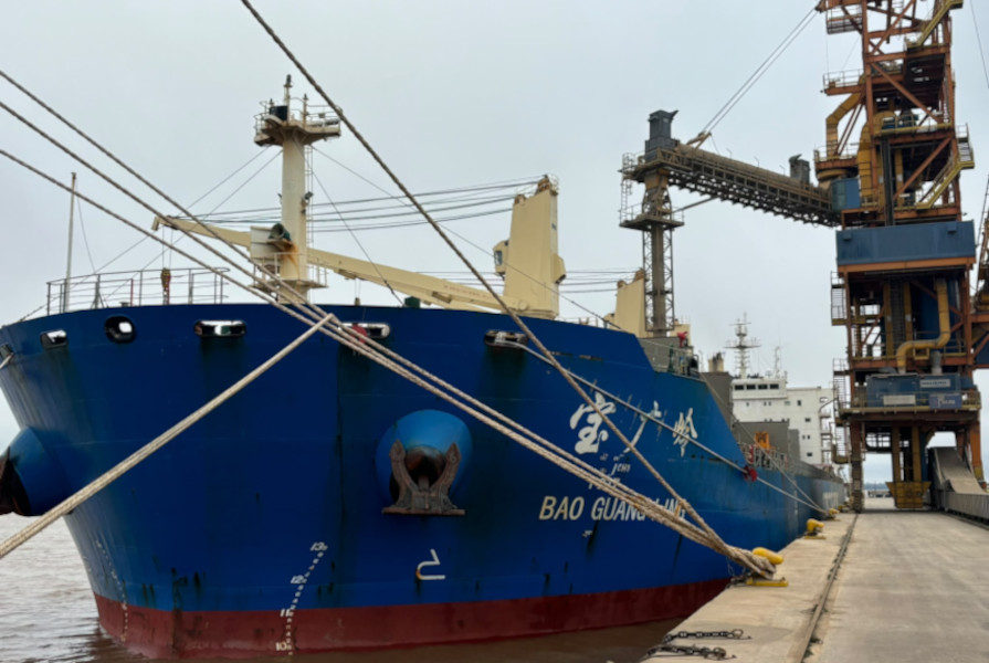 Operativa de soja en el muelle de la ANP (Foto APU.Uy)
