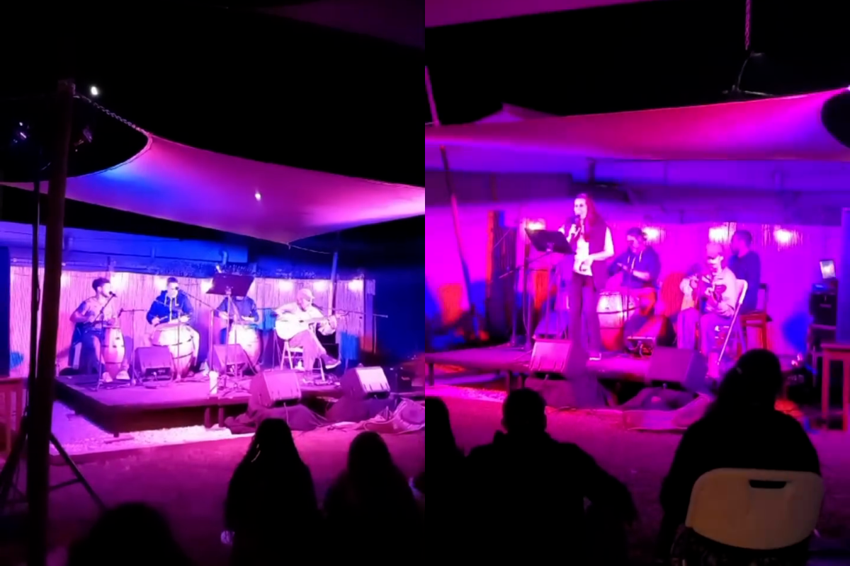 Más de 20 shows en vivo ofrecerán una experiencia única para los amantes de la música, con artistas nacionales e internacionales que se presentarán en un entorno inigualable junto al mar.