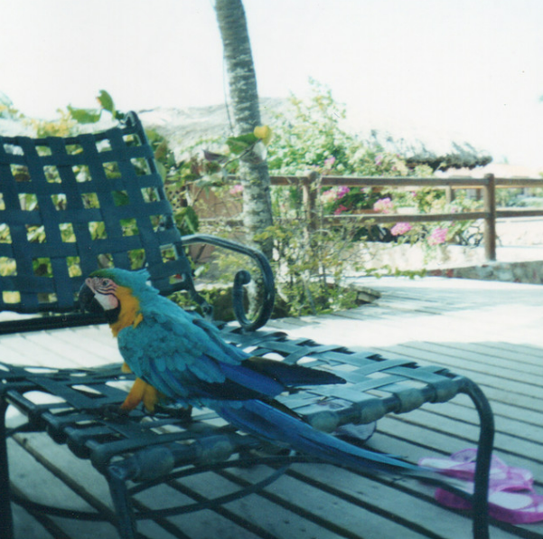 Portada de "Isla Margarita"