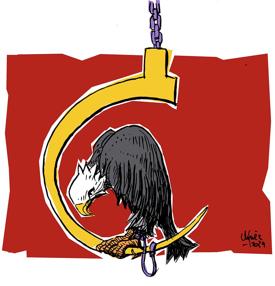 Águila mansa