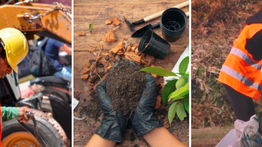 Programa de Oportunidad Laboral 