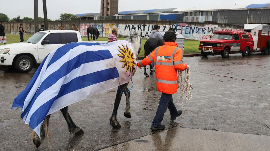 Caballo con bandera uruguaya