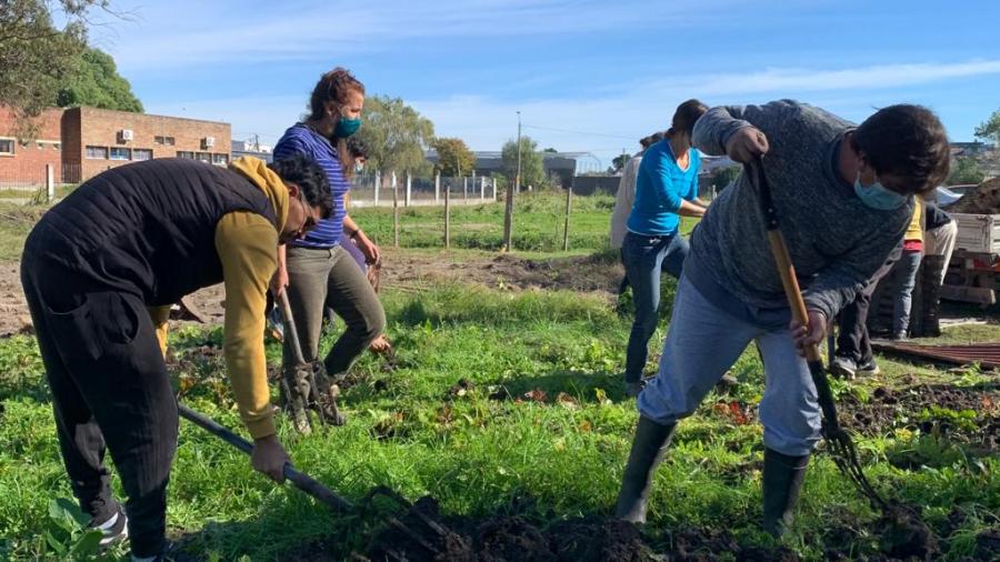 Huerta comunitaria. Barrio Campisteguy Las Piedras
