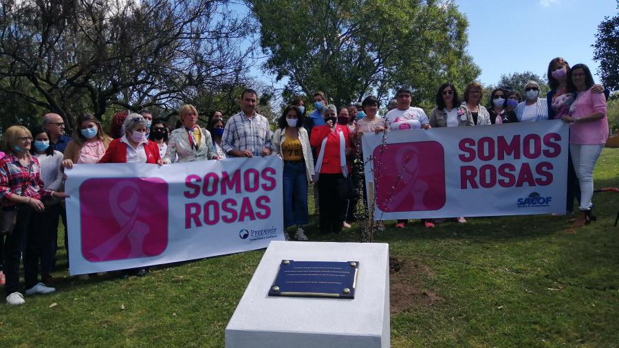 Placa en Solar Nativo, Florida. 