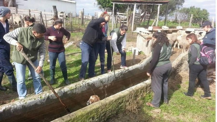 Foto: Semanario AREQUITA