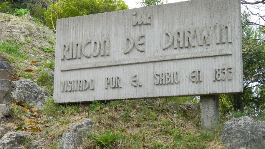 Rincón de Darwin