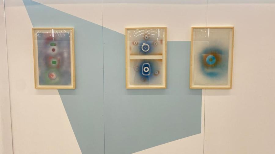 Montaje en Walden Naturae