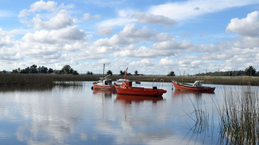 Humedales de Santa Lucía. 