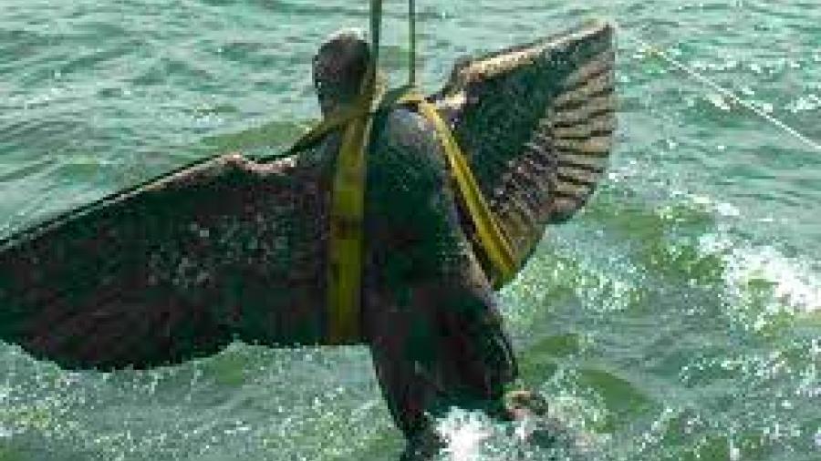 El Aguila del Graf Sppe