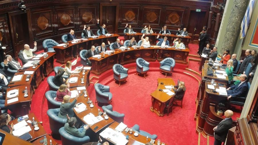 Senado votó exulsión de Penades