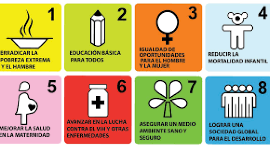 Objetivos desarrollo del milenio