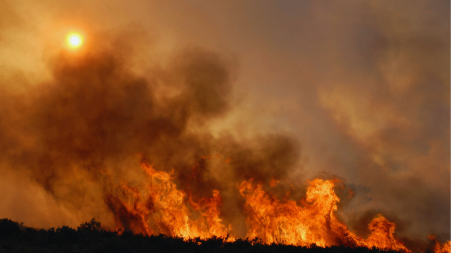 El asesor del Inumet, Mario Bidegain, manifestó que parte del territorio nacional se encuentra en una "situación extrema, en rojo, y algunas regiones en condiciones naranja" por lo que reiteró que las probabilidades de la generación de incendios forestales son altas. 