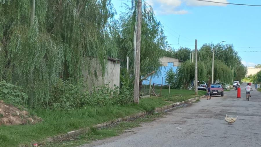 Barrio Asencio, Nueva Palmira, departamento de Colonia