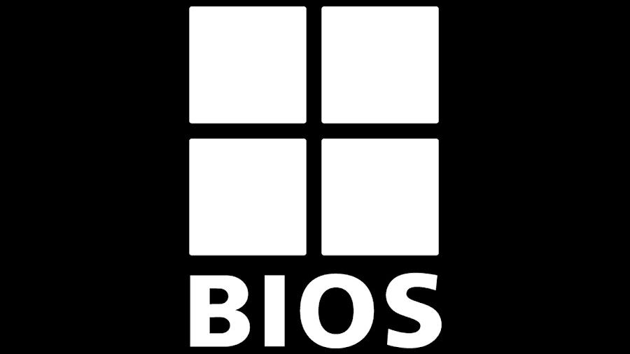 Instituto BIOS
