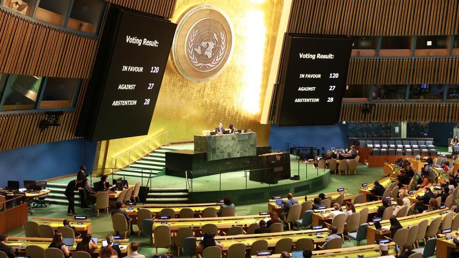 Asamblea General de las Naciones Unidas