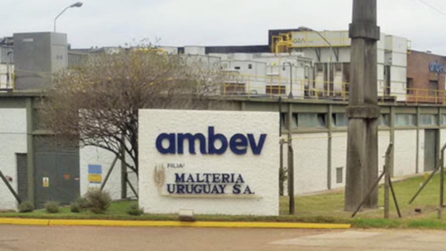 Planta de producción de malteada en Nueva Palmira