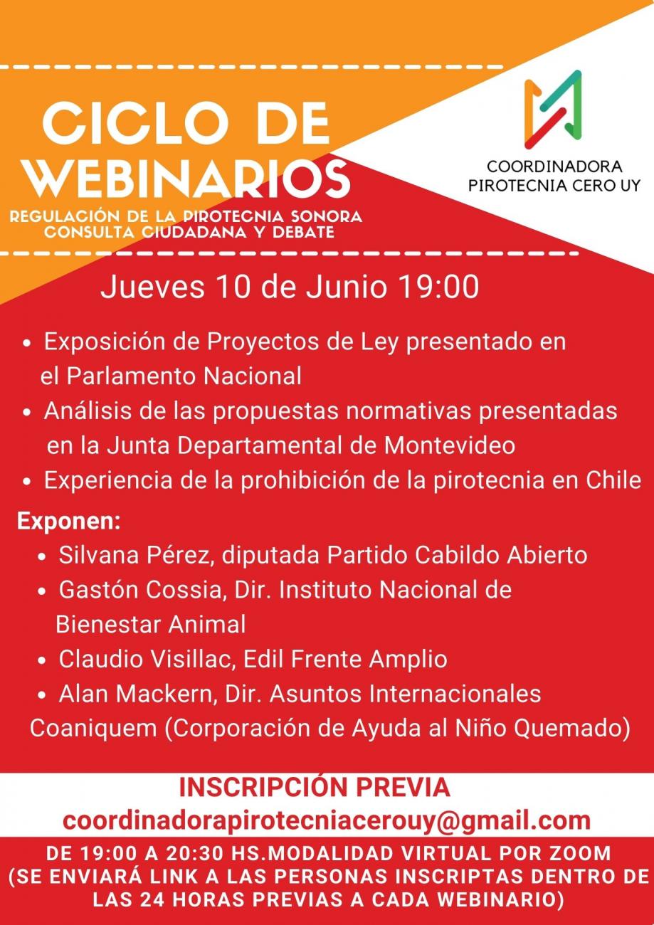 Flyer segundo Webinario 