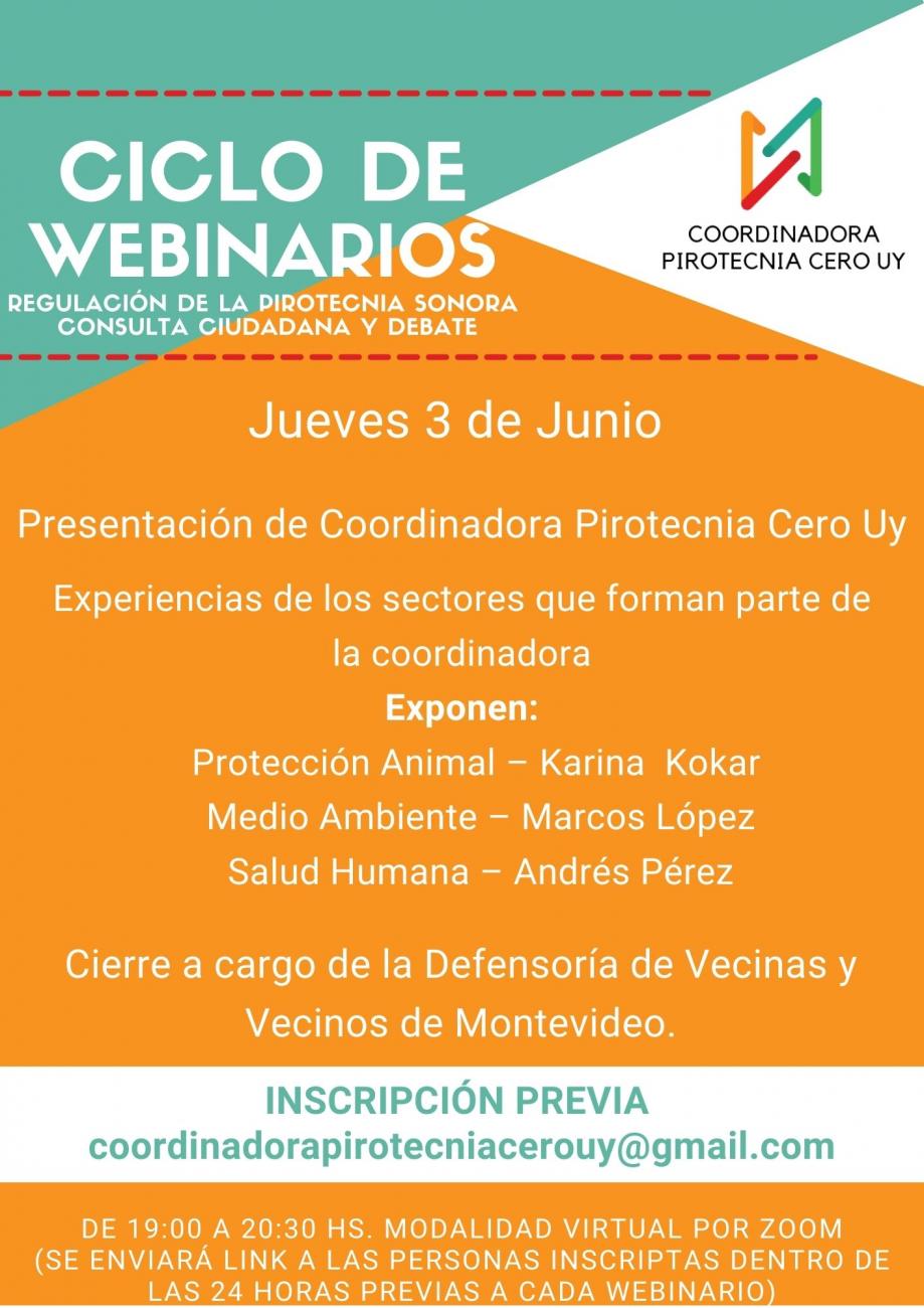 Flyer primer Webinario