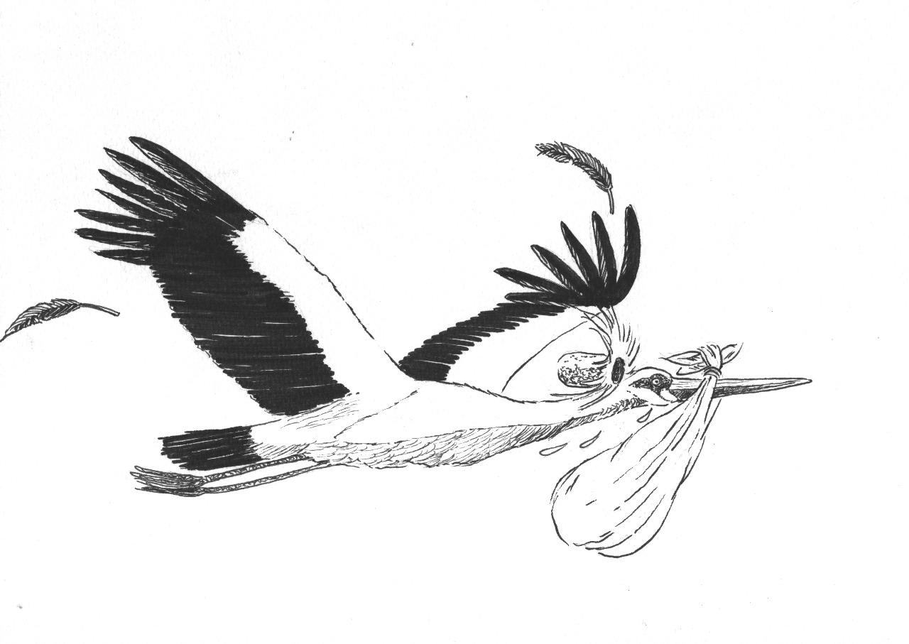 BICHOS, ELLOS Y NOSOTROS