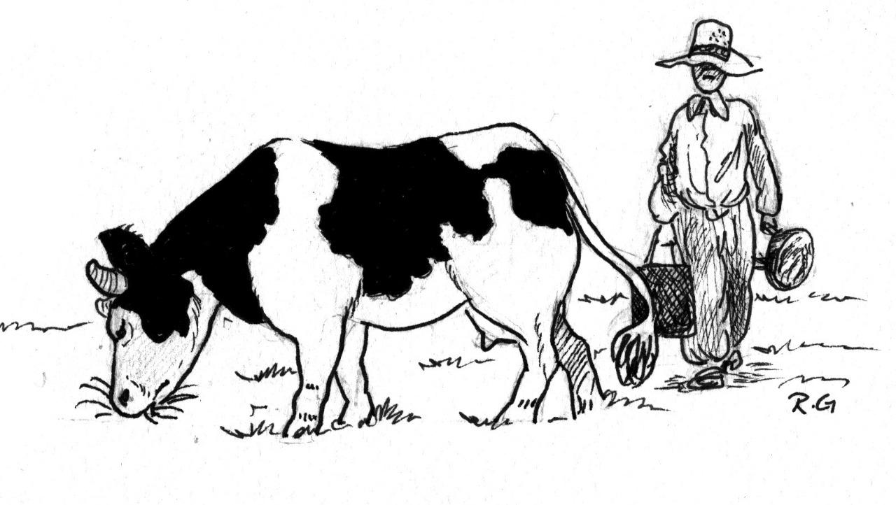 BICHOS, ELLOS Y NOSOTROS