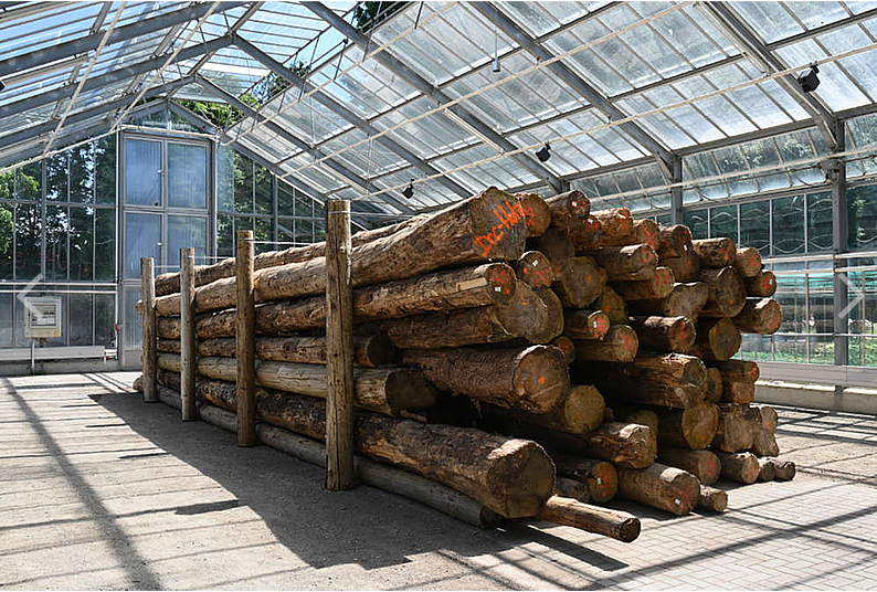 Documenta Quince. Kassel 2022.Foto de Haupt &  Binder Universes in Universe