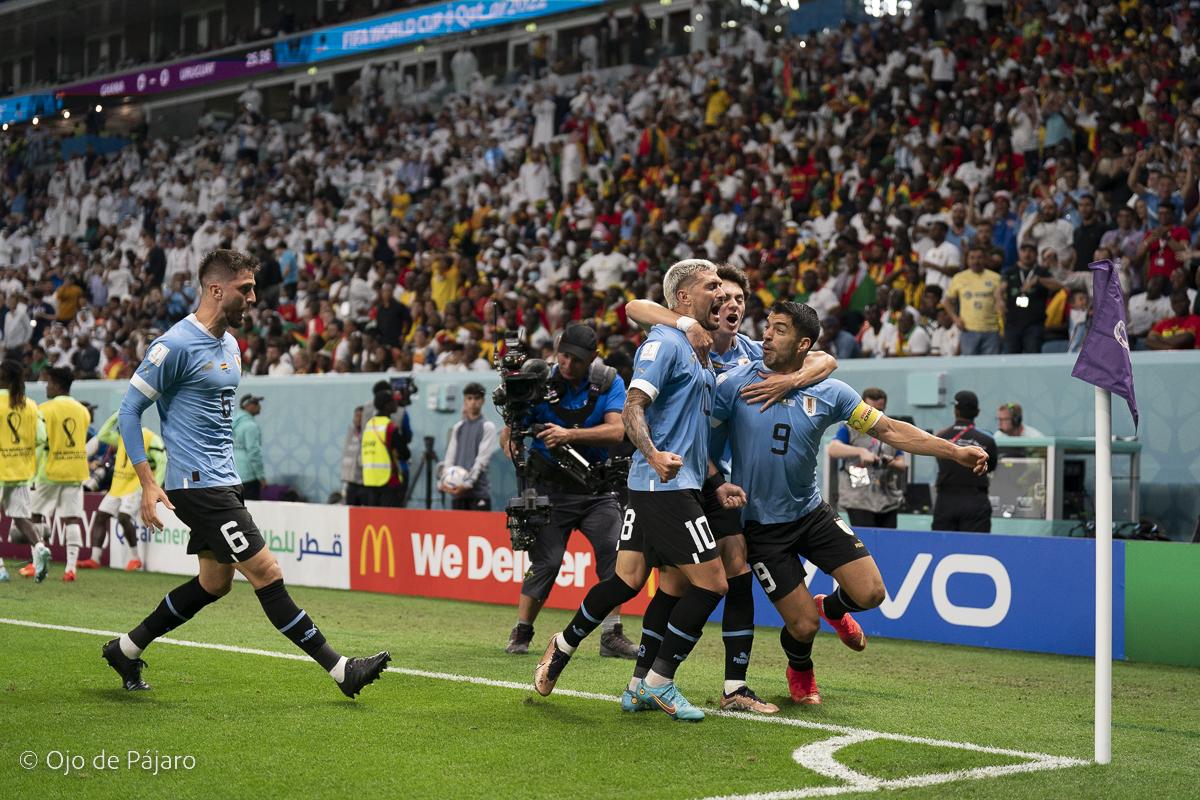 Fotos Marcelo Singer