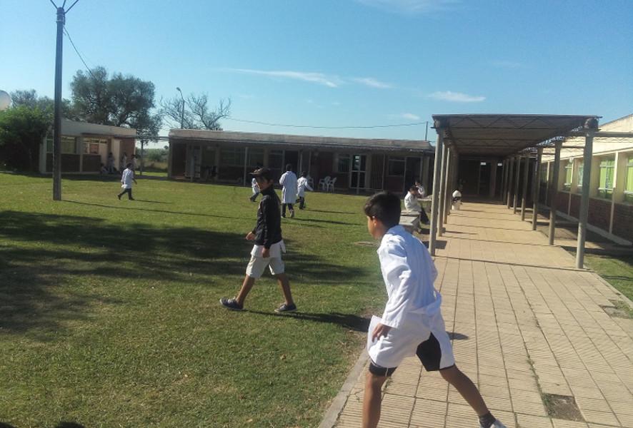 Escuela 113