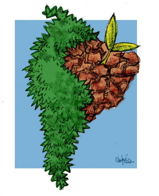 Elecciones en Brasil 